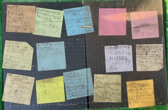 TOMAS 東京都３年生サッカー交流大会　12B一次予選の写真