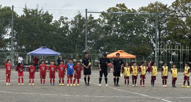 春季カップの写真